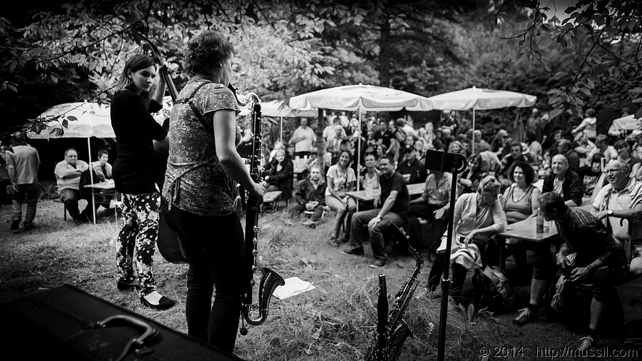 SCHRAMMELKLANG c2014 www.mussil.com 0598_BW.jpg