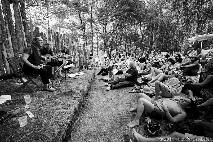 SCHRAMMELKLANG c2014 www.mussil.com 1210_BW.jpg