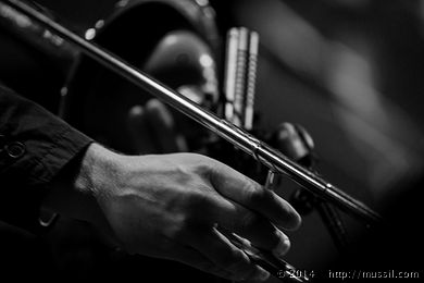 SCHRAMMELKLANG c2014 www.mussil.com 0374_BW.jpg
