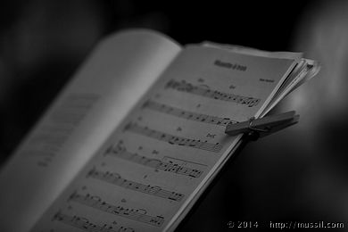 SCHRAMMELKLANG c2014 www.mussil.com 0779_BW.jpg
