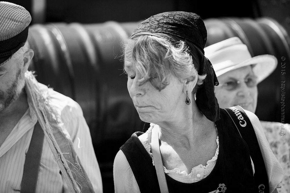 SCHRAMMELKLANG @ LITSCHAU 20150712 c2015 www.stephanmussil.at NR 359 L.jpg
