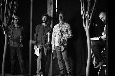 20160709 Schrammelklang @ Litschau c2016 www.stephanmussil.at NR 228.jpg