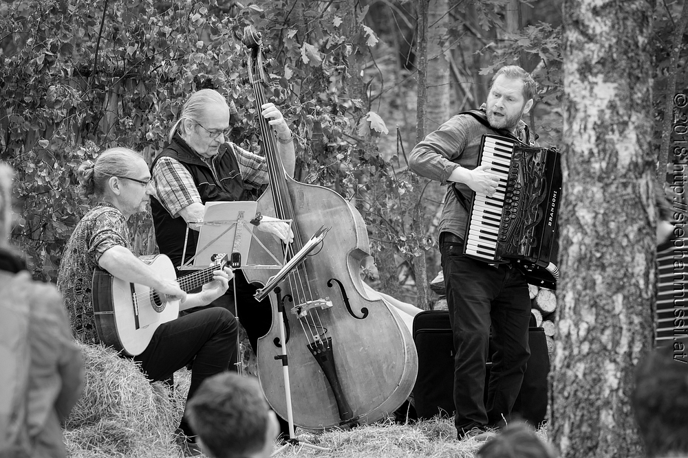 20180708 schrammelklang @ litschau c2018 www.StephanMussil.at 425 2.2K.jpg