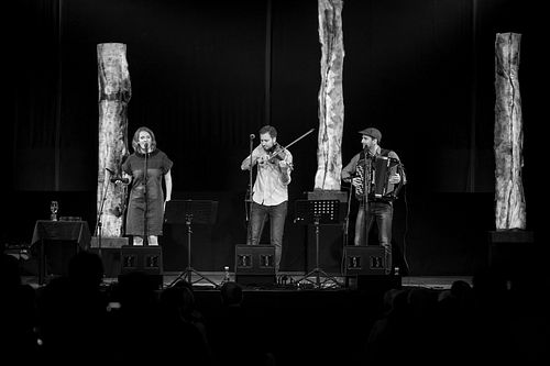 20180706 schrammelklang @ litschau c2018 www.StephanMussil.at 058 2.2K.jpg