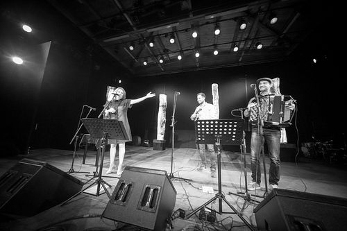 20180706 schrammelklang @ litschau c2018 www.StephanMussil.at 060 2.2K.jpg