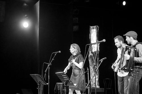 20180706 schrammelklang @ litschau c2018 www.StephanMussil.at 064 2.2K.jpg