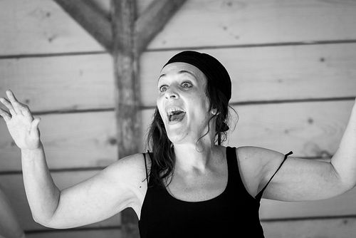 20180707 schrammelklang @ litschau c2018 www.StephanMussil.at 193 2.2K.jpg