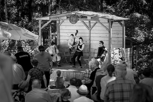 20180707 schrammelklang @ litschau c2018 www.StephanMussil.at 194 2.2K.jpg
