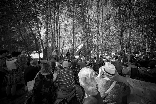 20180707 schrammelklang @ litschau c2018 www.StephanMussil.at 205 2.2K.jpg