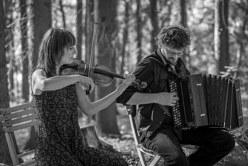 20180707 schrammelklang @ litschau c2018 www.StephanMussil.at 243 2.2K.jpg