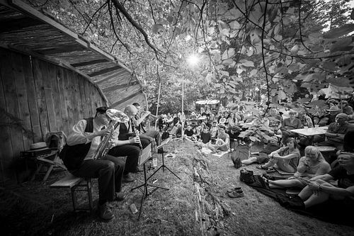 20180707 schrammelklang @ litschau c2018 www.StephanMussil.at 260 2.2K.jpg