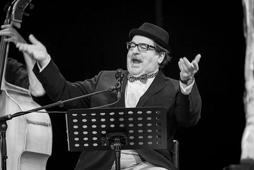 20180707 schrammelklang @ litschau c2018 www.StephanMussil.at 277 2.2K.jpg