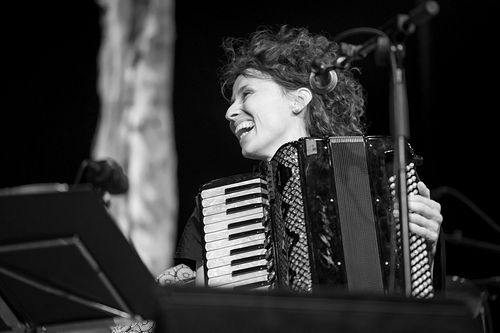 20180707 schrammelklang @ litschau c2018 www.StephanMussil.at 331 2.2K.jpg