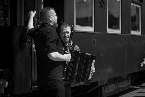 20180708 schrammelklang @ litschau c2018 www.StephanMussil.at 381 2.2K.jpg