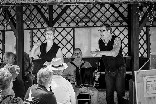 20180708 schrammelklang @ litschau c2018 www.StephanMussil.at 398 2.2K.jpg
