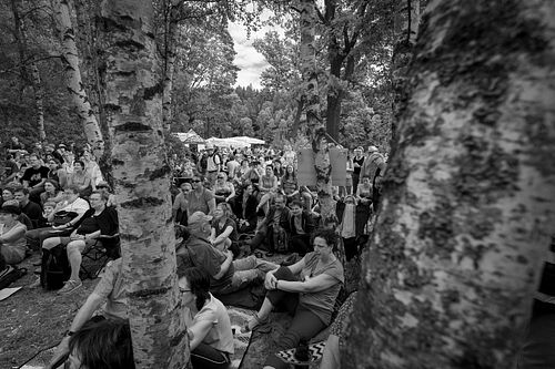 20180708 schrammelklang @ litschau c2018 www.StephanMussil.at 410 2.2K.jpg