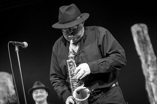 20180708 schrammelklang @ litschau c2018 www.StephanMussil.at 447 2.2K.jpg