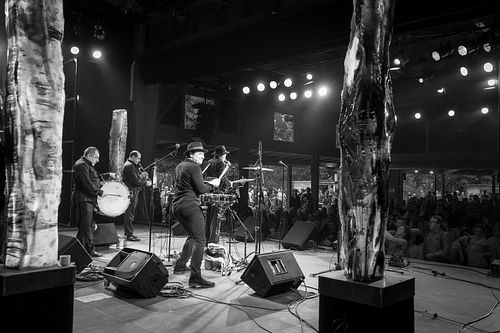20180708 schrammelklang @ litschau c2018 www.StephanMussil.at 472 2.2K.jpg
