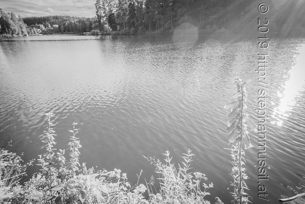 20200703 SCHRAMMELKLANGERL @ LITSCHAU c2020 www.stephanmussil.at 054 2.2k BW.JPG