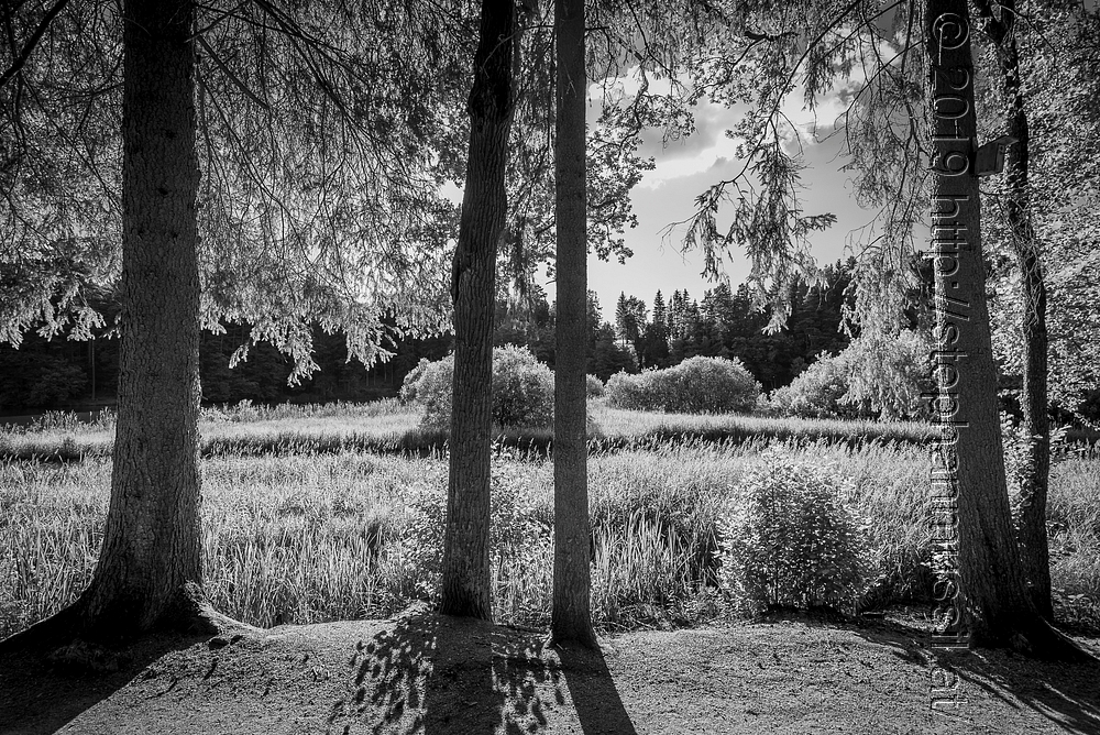 20200704 SCHRAMMELKLANGERL @ LITSCHAU c2020 www.stephanmussil.at 160 2.2k BW.JPG