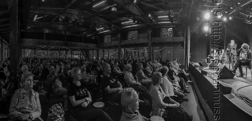 20200704 SCHRAMMELKLANGERL @ LITSCHAU c2020 www.stephanmussil.at 239 2.2k BW.JPG
